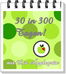 30 Dinge in 300 Tagen