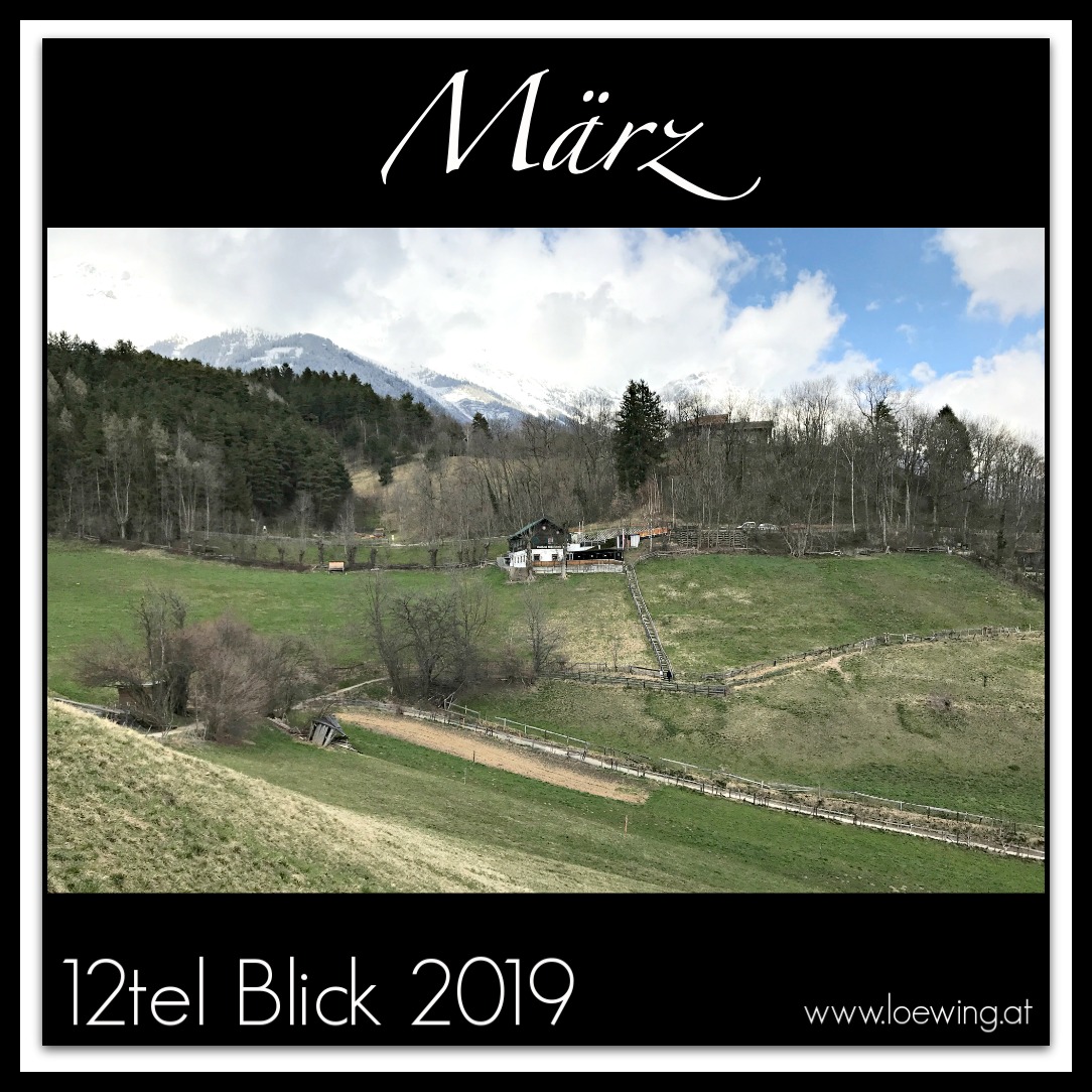 #03/2019 12tel Blick