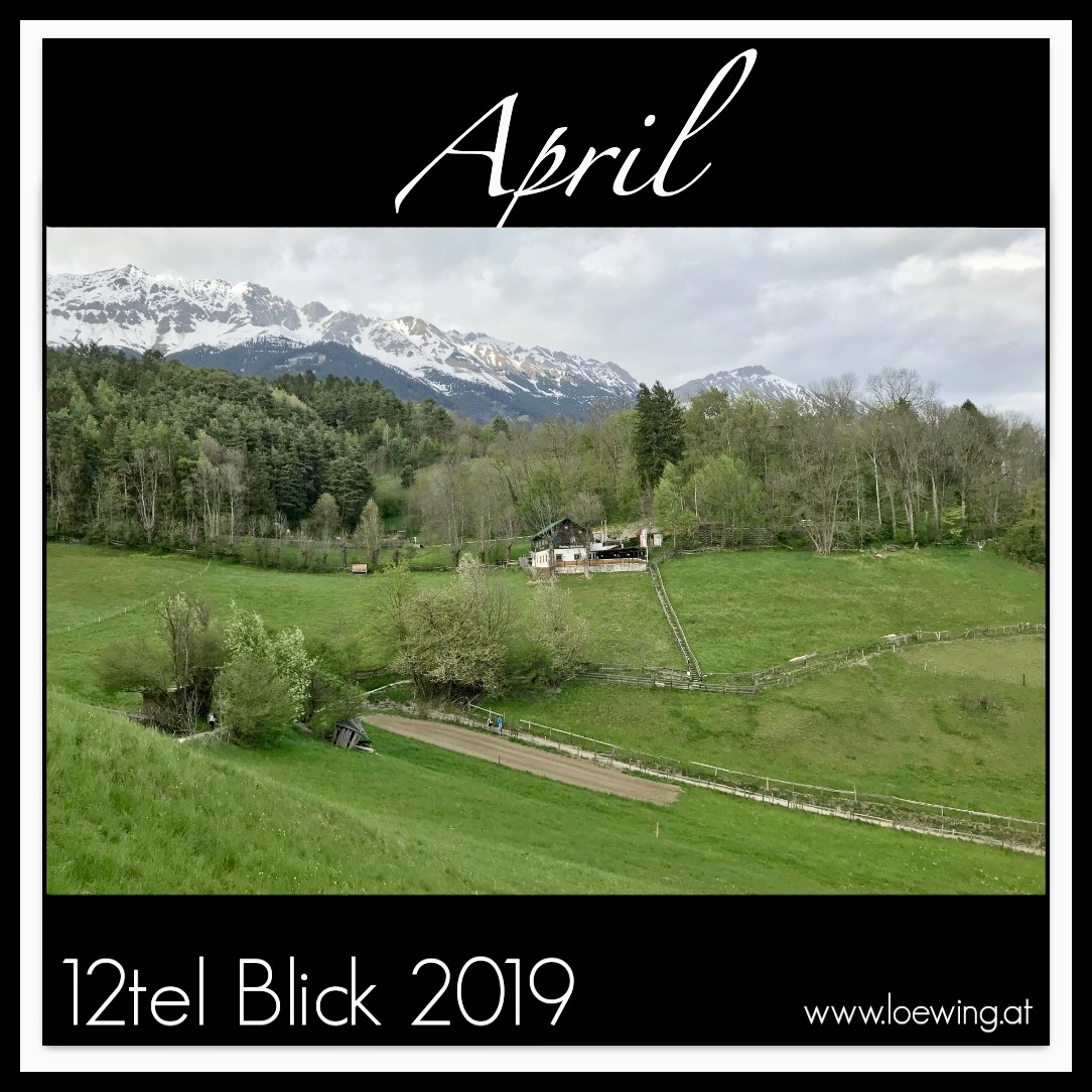 #04/2019 12tel Blick
