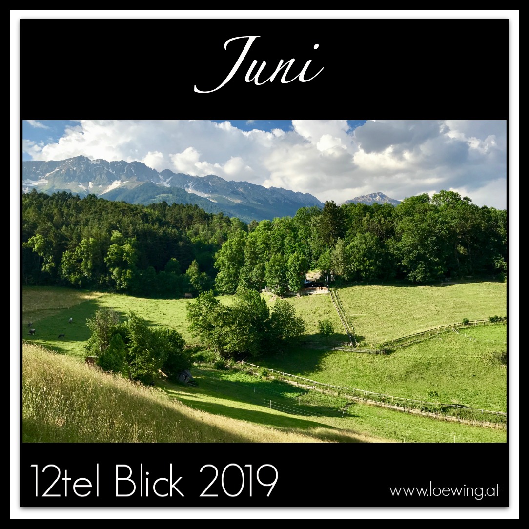 Weg isser… #06/2019 12tel Blick