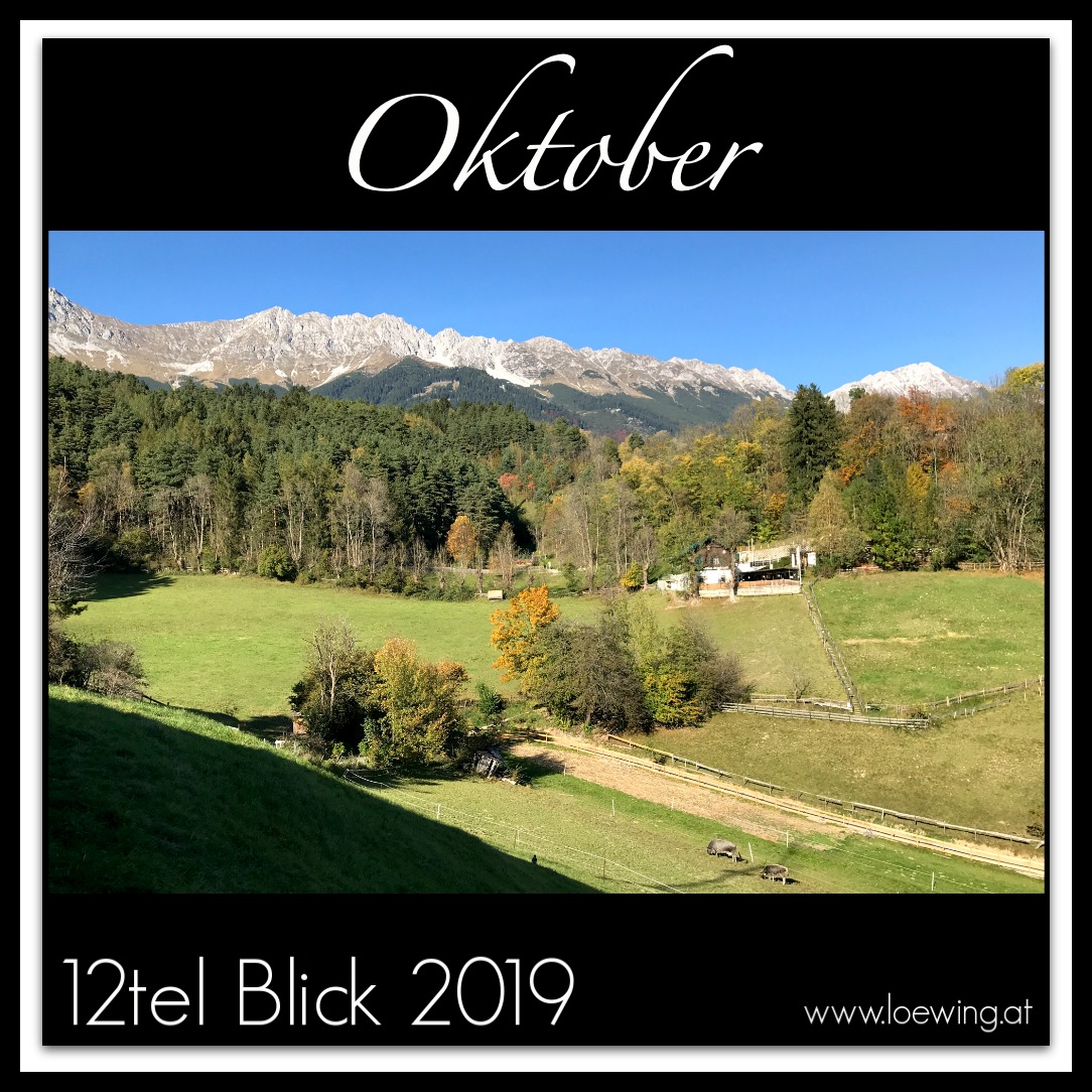 Der bunte Oktober #10/2019 12tel Blick