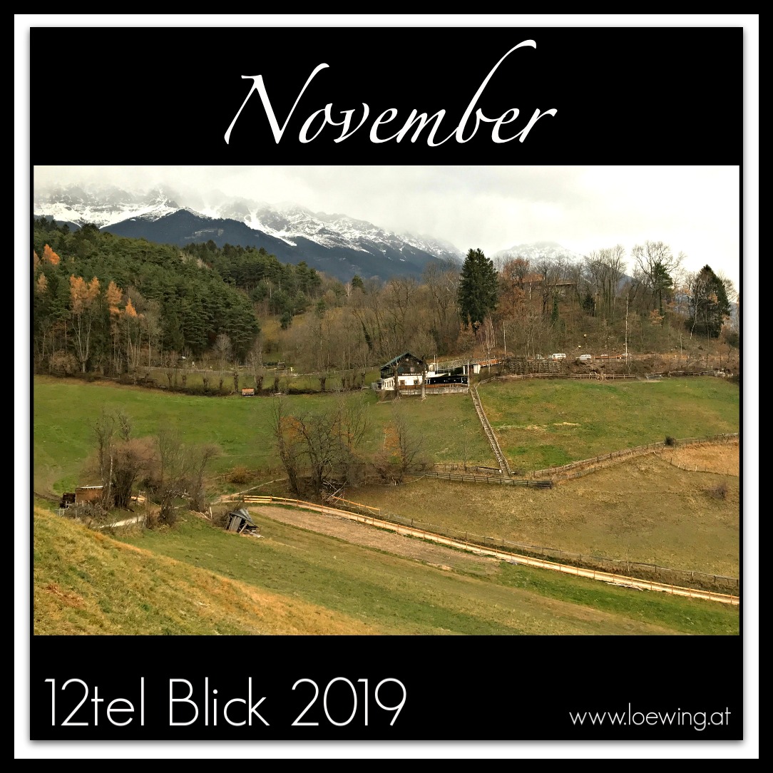 Der graue November #11/2019 12tel Blick